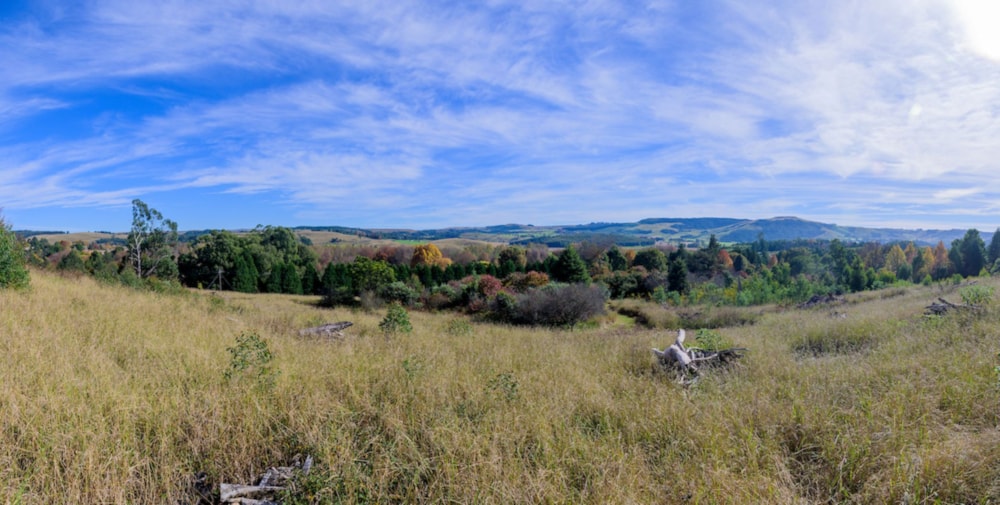 Residential vacant land for sale in Balgowan, Howick - 1PM1678203 Residential vacant land for sale in Balgowan, Howick - 1PM1678203