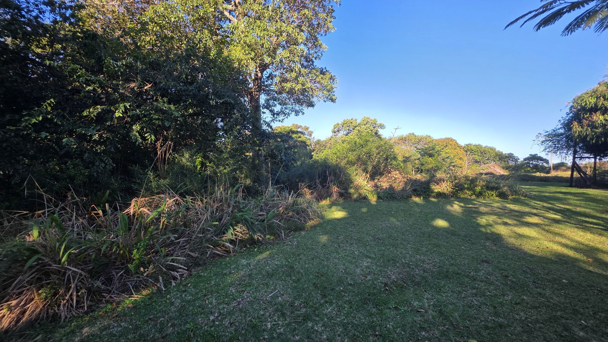 Residential vacant land for sale in Palm Beach - 1PD1714718