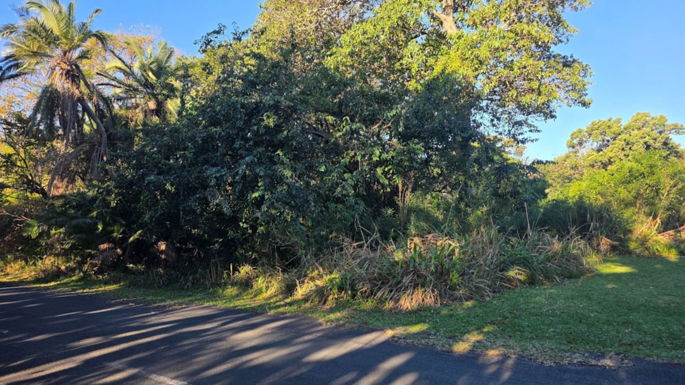 Residential vacant land for sale in Palm Beach - 1PD1714718 Residential vacant land for sale in Palm Beach - 1PD1714718