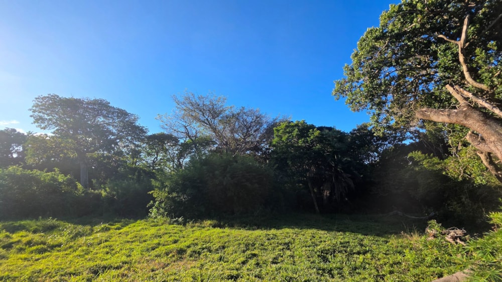 Residential vacant land for sale in Palm Beach - 1PD1714718 Residential vacant land for sale in Palm Beach - 1PD1714718