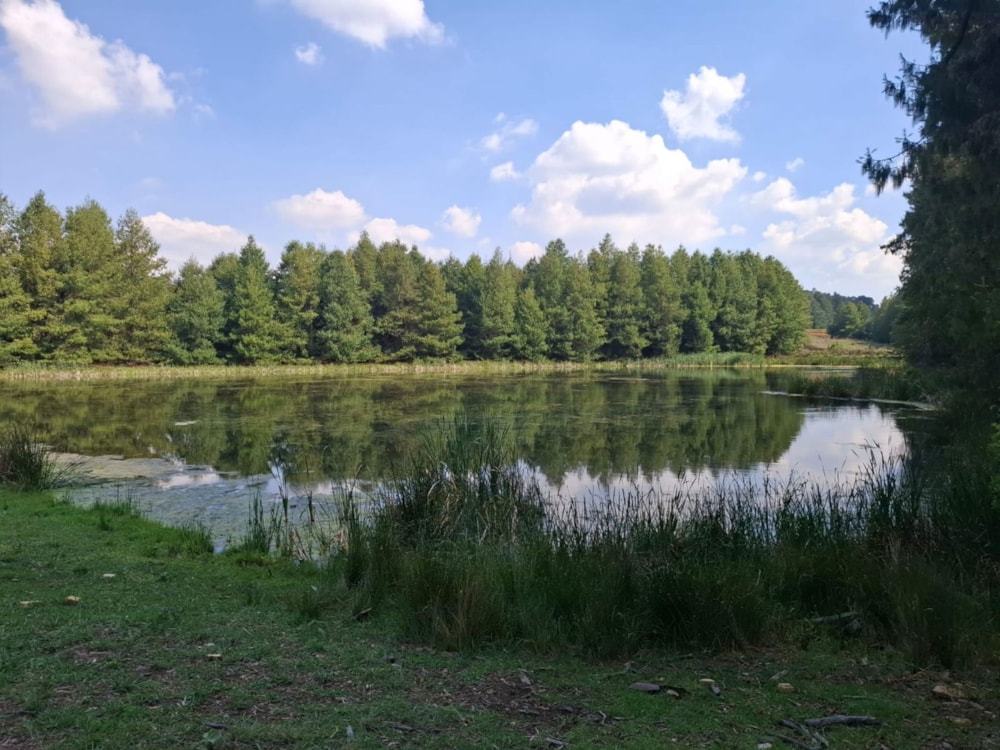 Mixed use farm for sale in Dullstroom - 1DS1727166