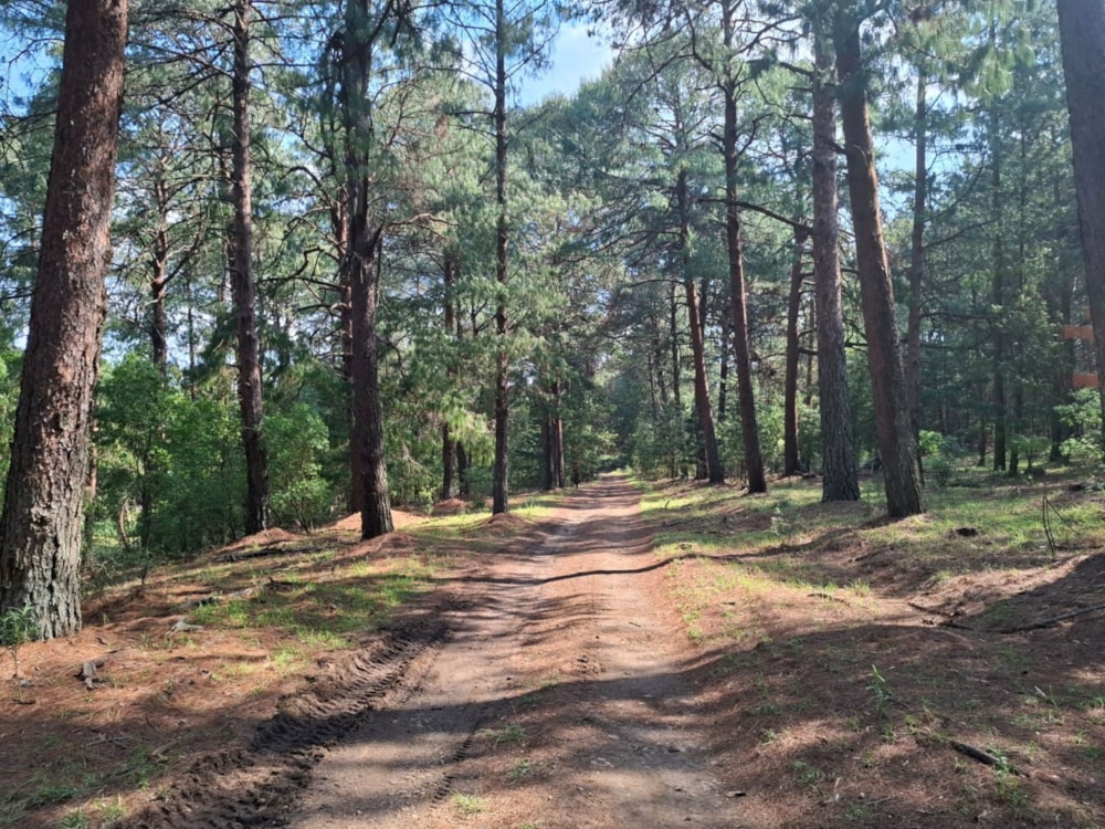 Mixed use farm for sale in Dullstroom - 1DS1727166 Mixed use farm for sale in Dullstroom - 1DS1727166