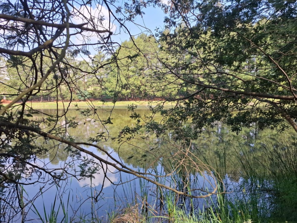 Mixed use farm for sale in Dullstroom - 1DS1727166