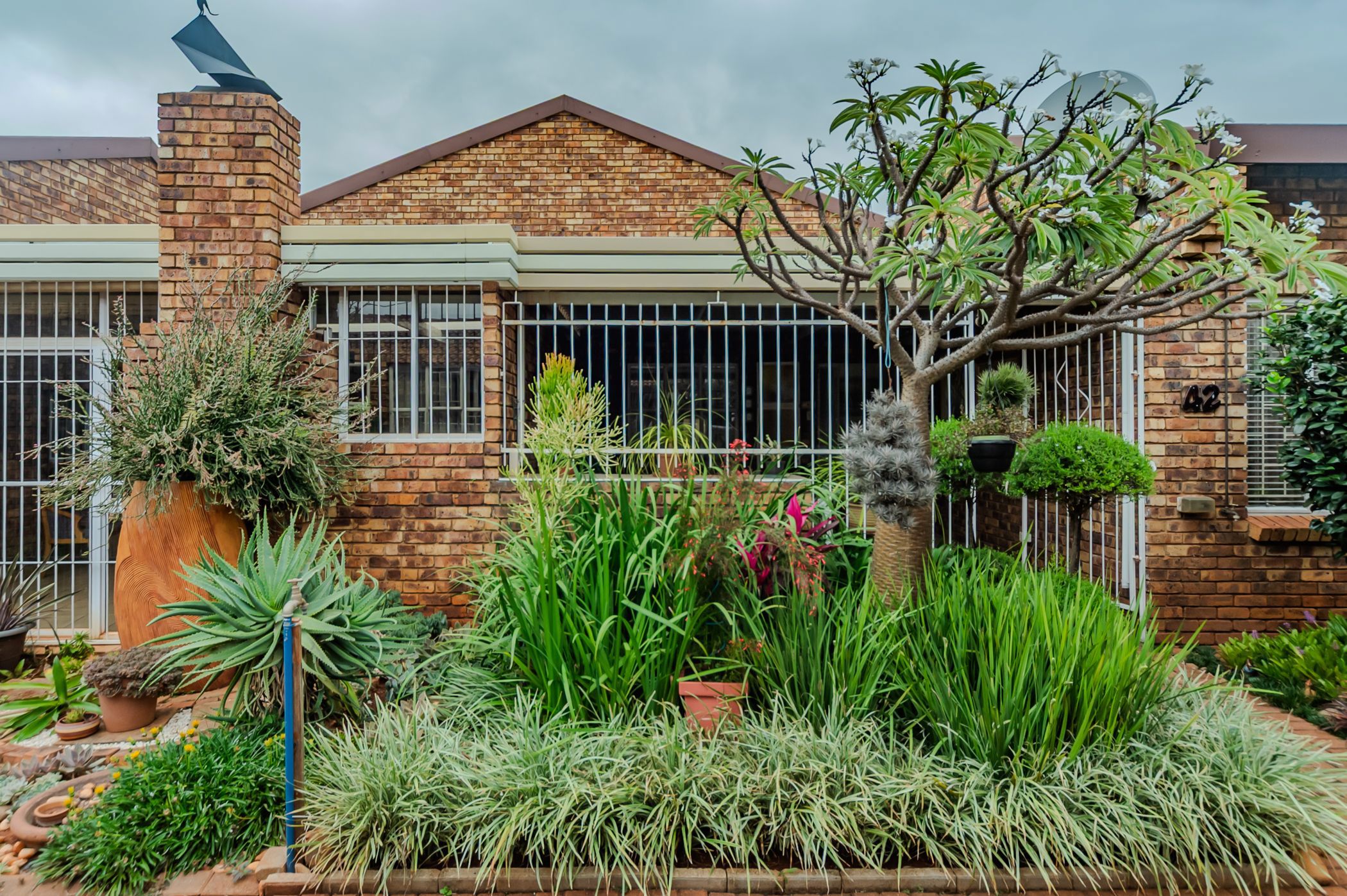 Single-storey retirement home for sale in Clarina - PTM1748431