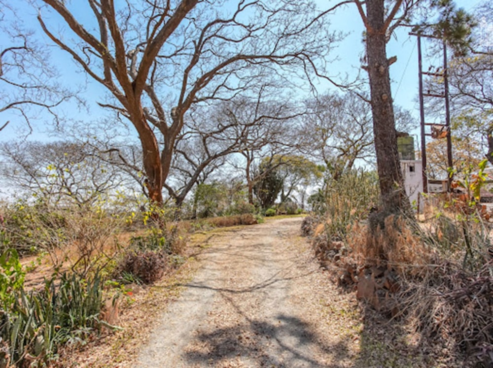 Farm vacant land for sale in Glen Forest, Zimbabwe - 3ZB1749638 Farm vacant land for sale in Glen Forest, Zimbabwe - 3ZB1749638
