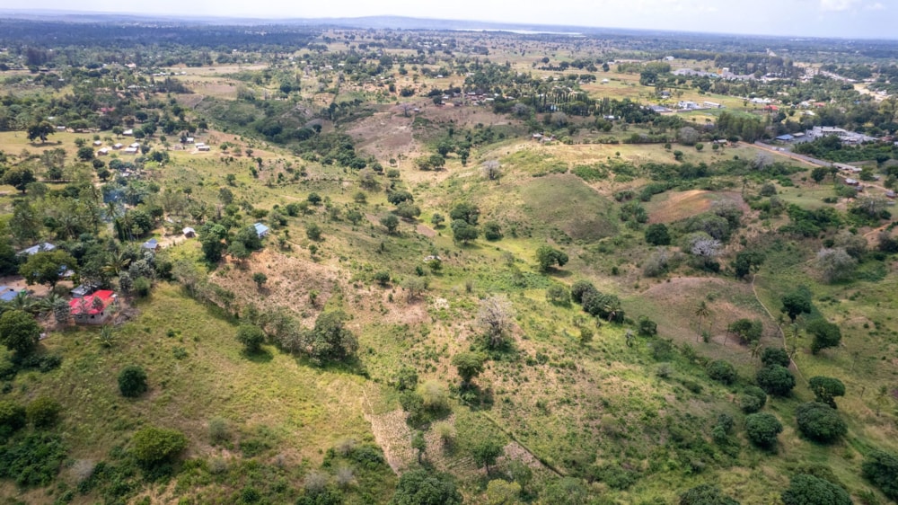 Farm vacant land for sale in Kilifi County, Kenya - 3KE1747224 Farm vacant land for sale in Kilifi County, Kenya - 3KE1747224