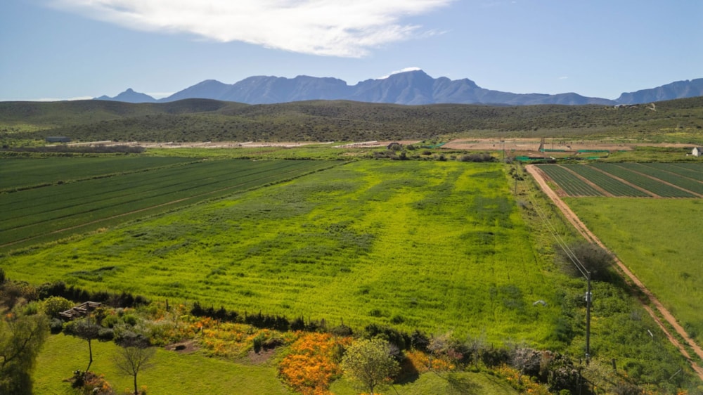 Farm vacant land for sale in Oudtshoorn Rural - 1OU1747213 Farm vacant land for sale in Oudtshoorn Rural - 1OU1747213