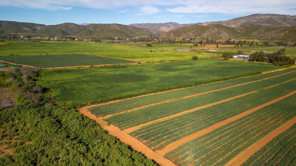 Farm vacant land for sale in Oudtshoorn Rural - 1OU1747213 Farm vacant land for sale in Oudtshoorn Rural - 1OU1747213