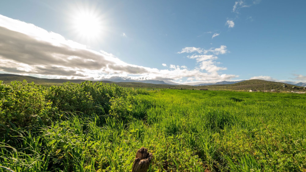 Farm vacant land for sale in Oudtshoorn Rural - 1OU1747213 Farm vacant land for sale in Oudtshoorn Rural - 1OU1747213