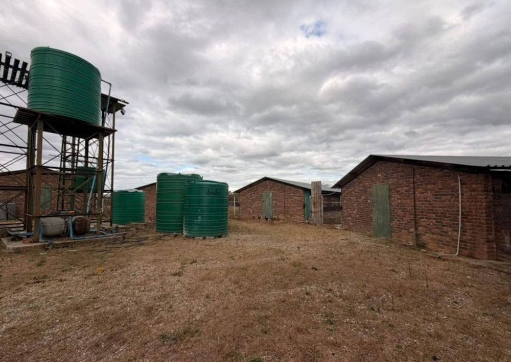 Poultry farm for sale in Tzaneen, Limpopo Province - 1TA1747986