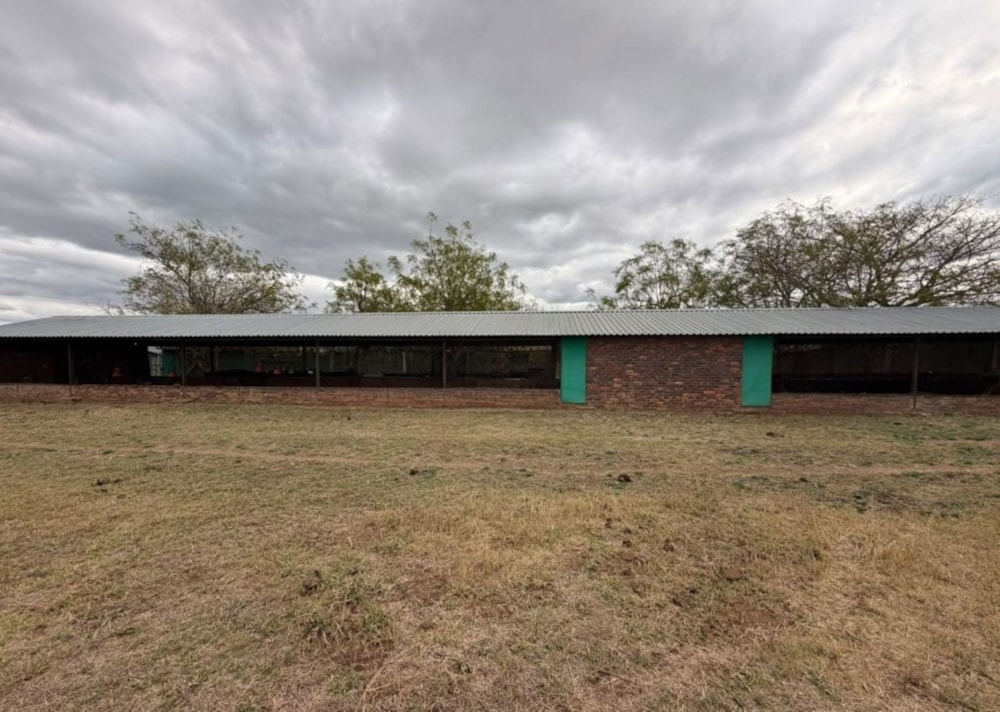 Poultry farm for sale in Tzaneen, Limpopo Province - 1TA1747986