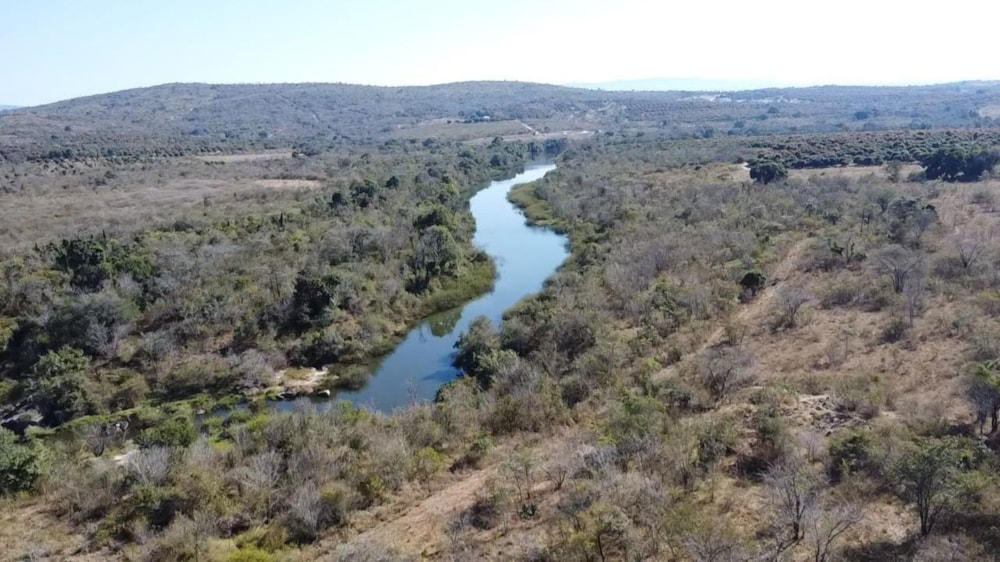 Poultry farm for sale in Tzaneen, Limpopo Province - 1TA1747986 Poultry farm for sale in Tzaneen, Limpopo Province - 1TA1747986