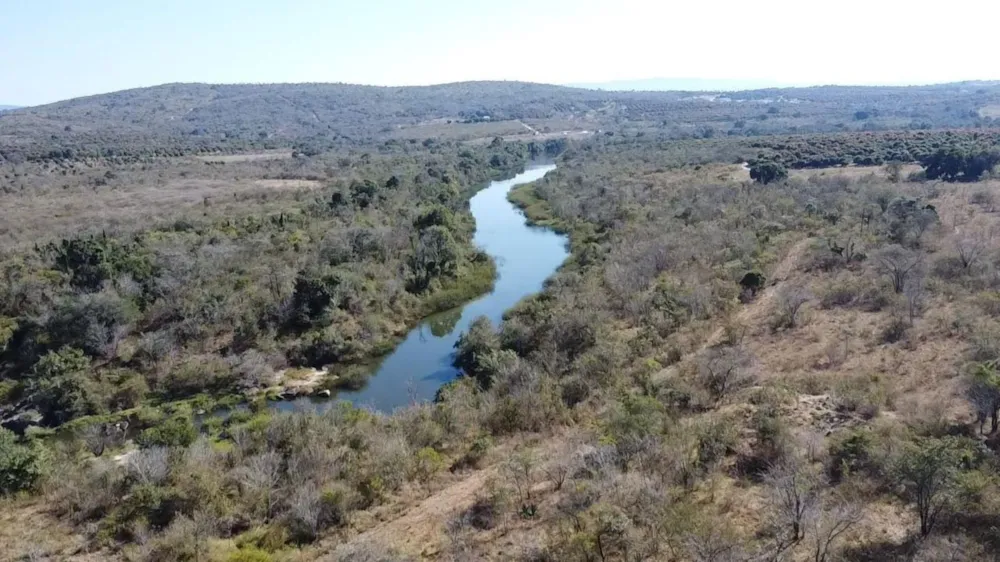 Poultry farm for sale in Tzaneen, Limpopo Province - 1TA1747986 Poultry farm for sale in Tzaneen, Limpopo Province - 1TA1747986