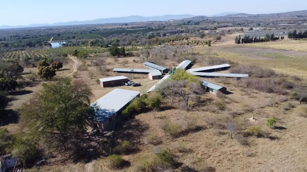 Poultry farm for sale in Tzaneen, Limpopo Province - 1TA1747986 Poultry farm for sale in Tzaneen, Limpopo Province - 1TA1747986