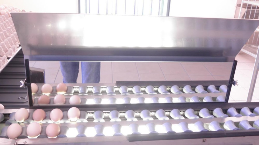 Poultry farm for sale in Tzaneen, Limpopo Province - 1TA1747986 Poultry farm for sale in Tzaneen, Limpopo Province - 1TA1747986
