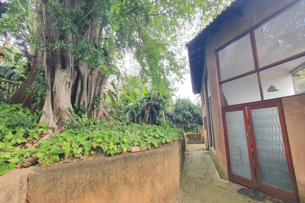 House to rent in Southbroom - 1PD1748201