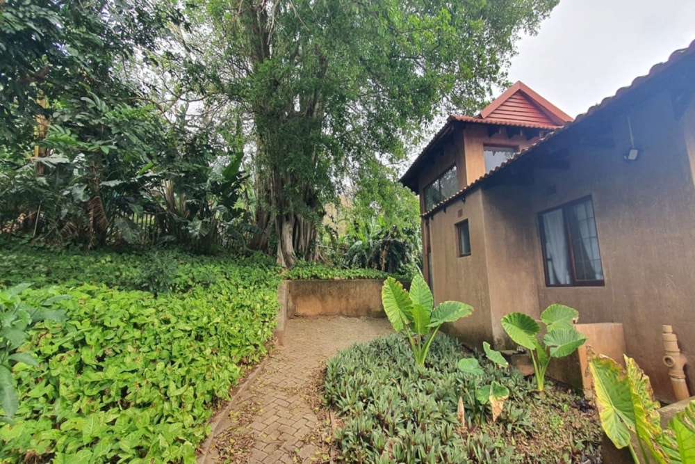 House to rent in Southbroom - 1PD1748201