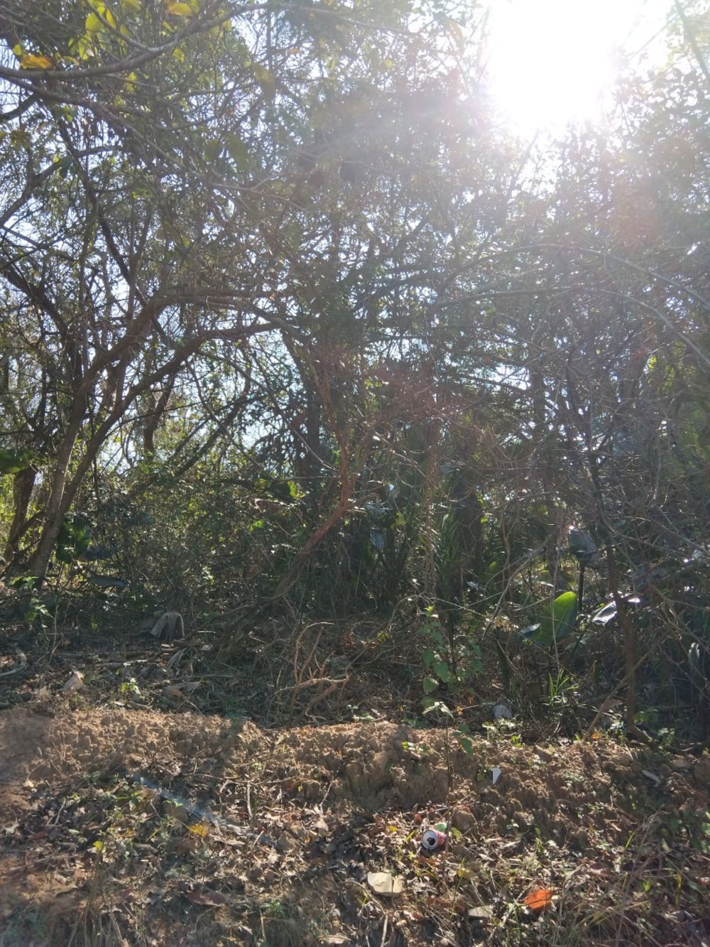 Vacant land for sale in Pennington - 1SI1748220 Vacant land for sale in Pennington - 1SI1748220