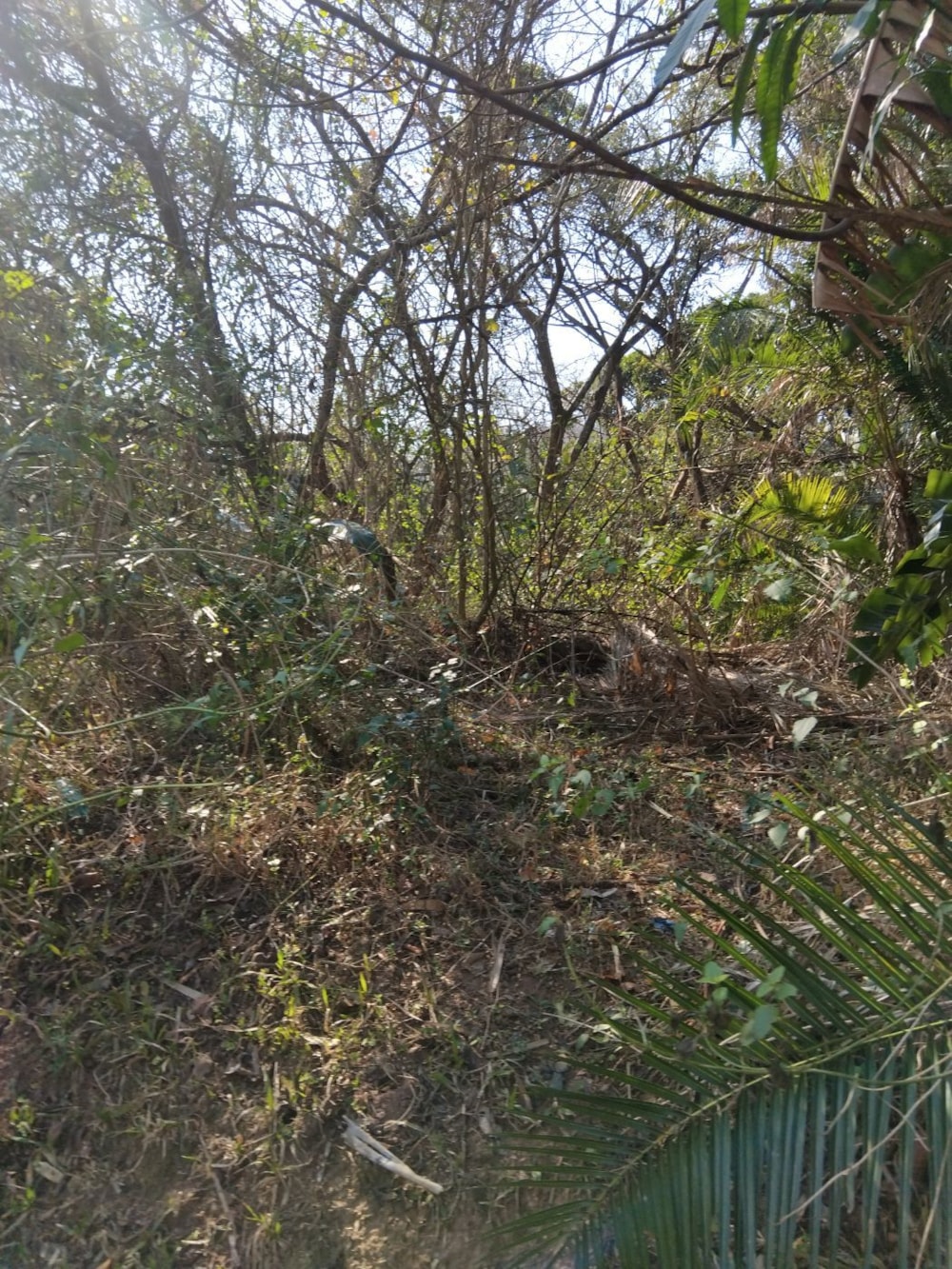 Vacant land for sale in Pennington - 1SI1748220 Vacant land for sale in Pennington - 1SI1748220