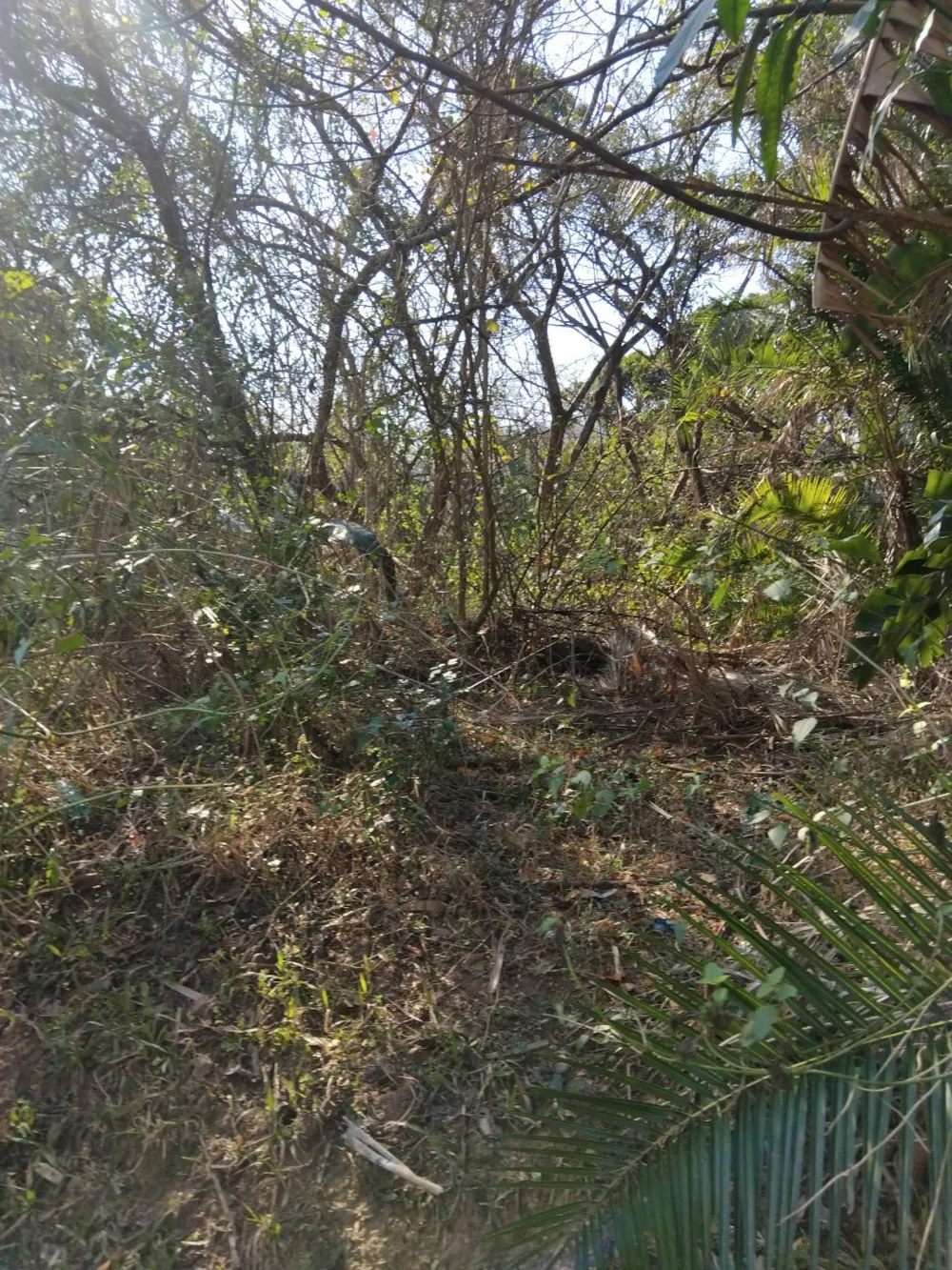 Vacant land for sale in Pennington - 1SI1748220 Vacant land for sale in Pennington - 1SI1748220