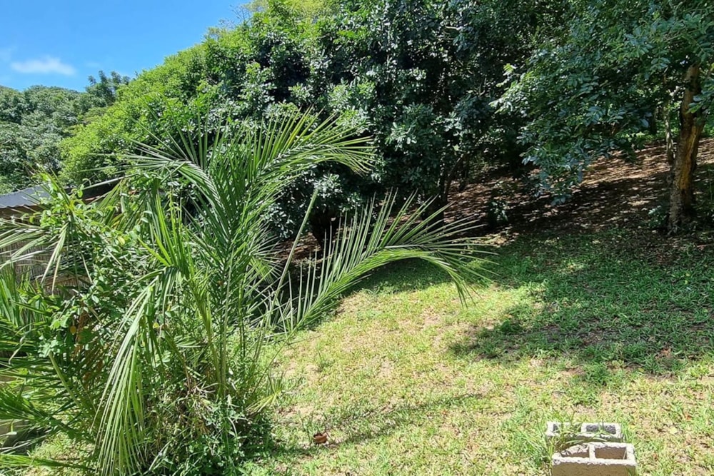 Vacant land for investment in Ponta de Ouro, Mozambique - 3MQ1748314