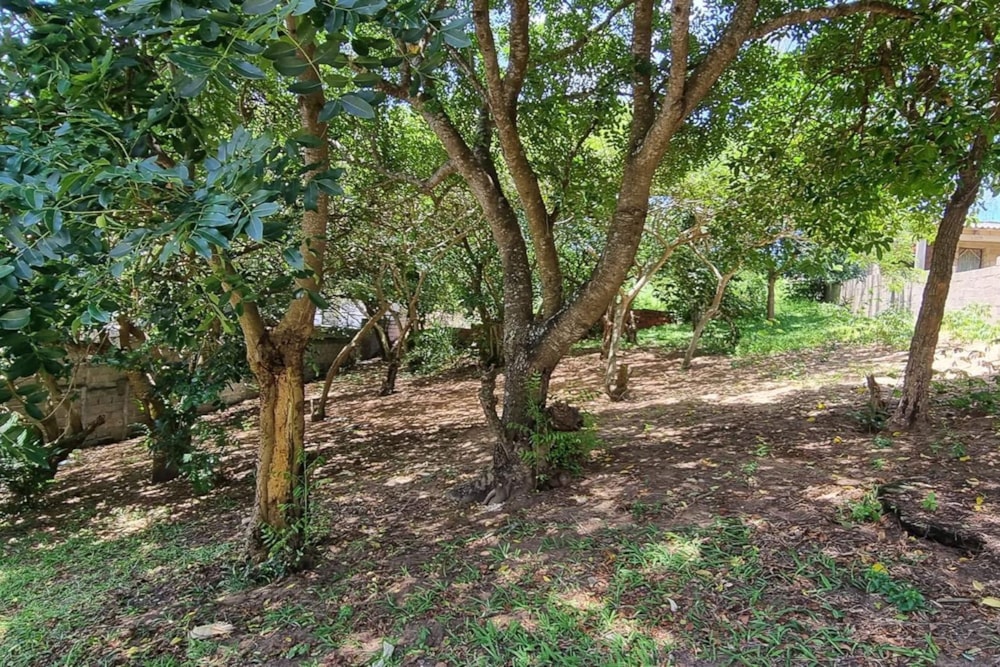 Vacant land for investment in Ponta de Ouro, Mozambique - 3MQ1748314