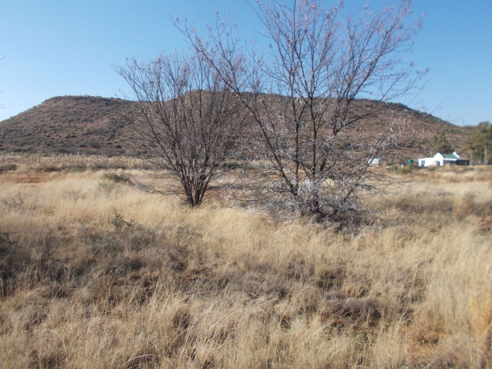 Vacant land for sale in Bethulie - 1KK1748640 Vacant land for sale in Bethulie - 1KK1748640