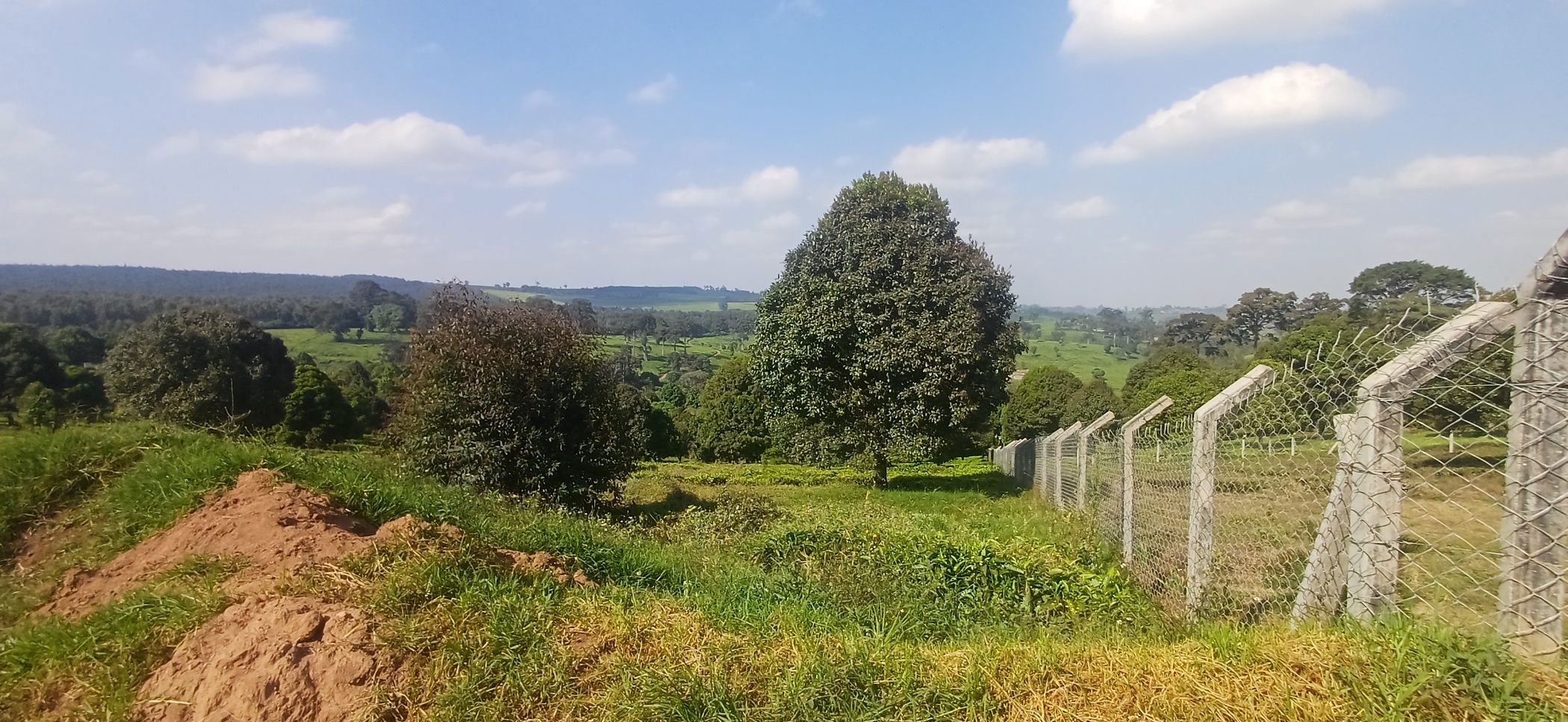 Vacant land for sale in Tigoni, Kenya - 3KE1749803