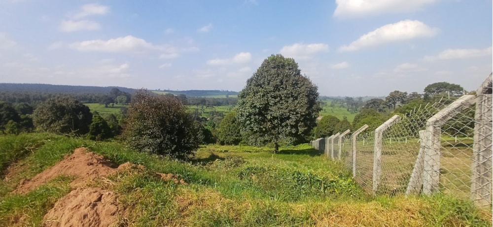 Vacant land for sale in Tigoni, Kenya - 3KE1749803 Vacant land for sale in Tigoni, Kenya - 3KE1749803