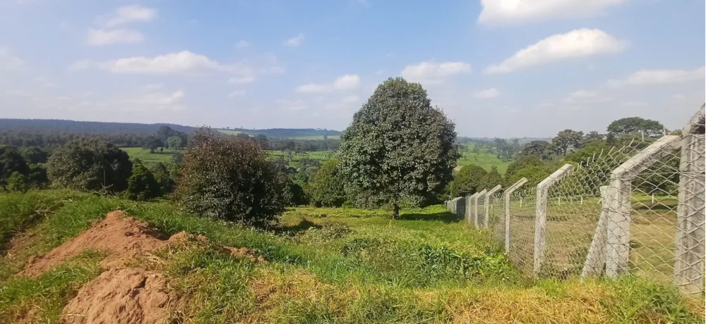 Vacant land for sale in Tigoni, Kenya - 3KE1749803 Vacant land for sale in Tigoni, Kenya - 3KE1749803