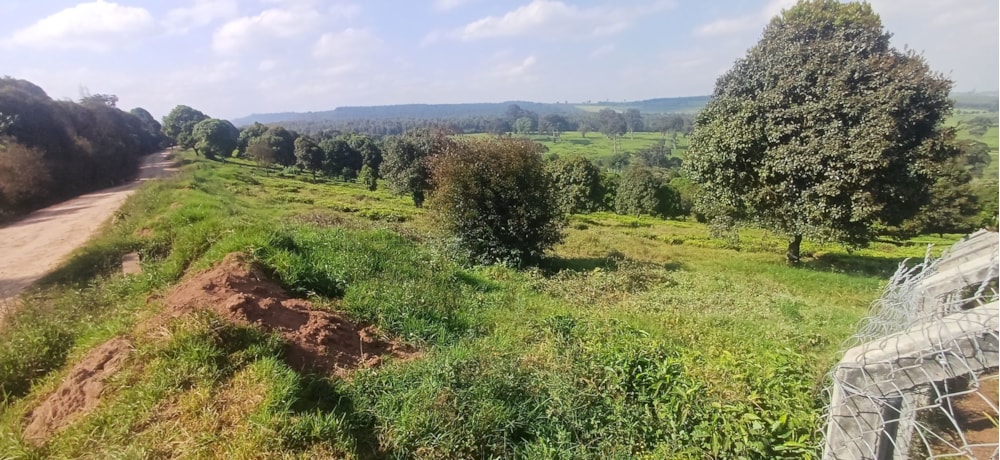 Vacant land for sale in Tigoni, Kenya - 3KE1749803 Vacant land for sale in Tigoni, Kenya - 3KE1749803