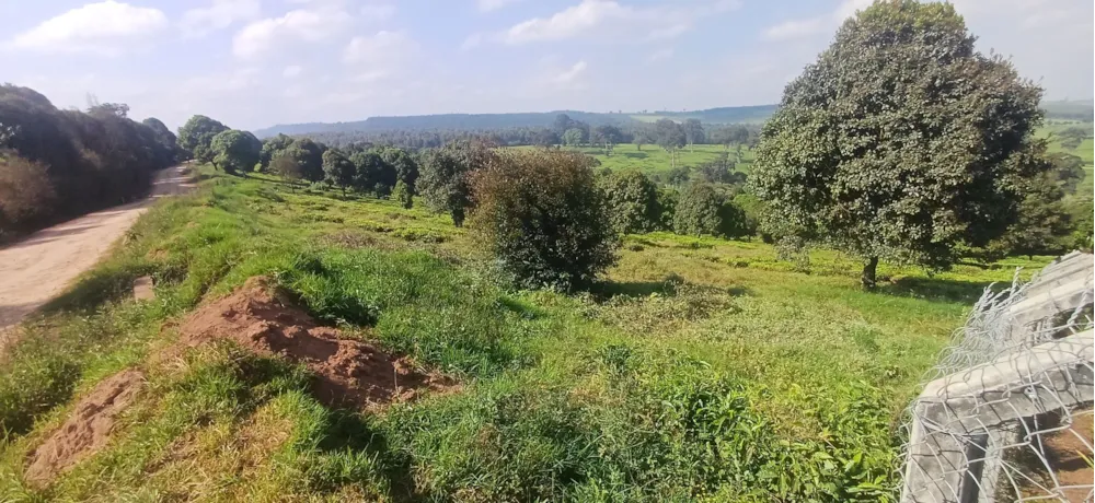 Vacant land for sale in Tigoni, Kenya - 3KE1749803 Vacant land for sale in Tigoni, Kenya - 3KE1749803
