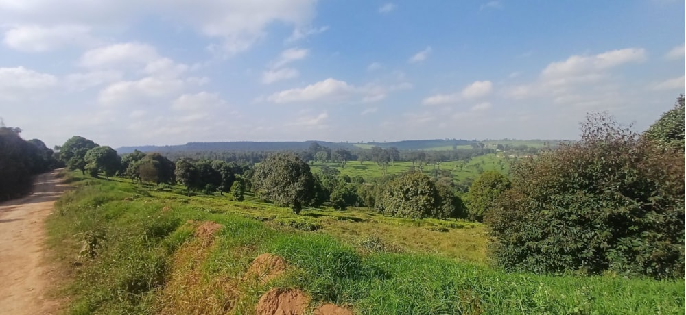 Vacant land for sale in Tigoni, Kenya - 3KE1749803 Vacant land for sale in Tigoni, Kenya - 3KE1749803