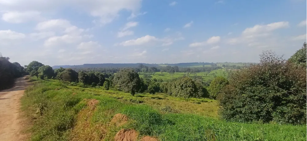 Vacant land for sale in Tigoni, Kenya - 3KE1749803 Vacant land for sale in Tigoni, Kenya - 3KE1749803