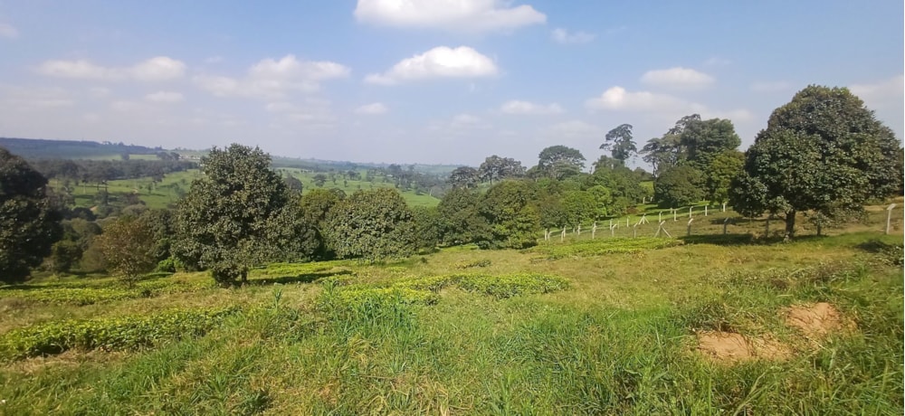 Vacant land for sale in Tigoni, Kenya - 3KE1749803 Vacant land for sale in Tigoni, Kenya - 3KE1749803