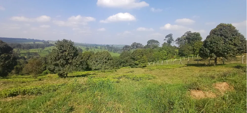 Vacant land for sale in Tigoni, Kenya - 3KE1749803 Vacant land for sale in Tigoni, Kenya - 3KE1749803