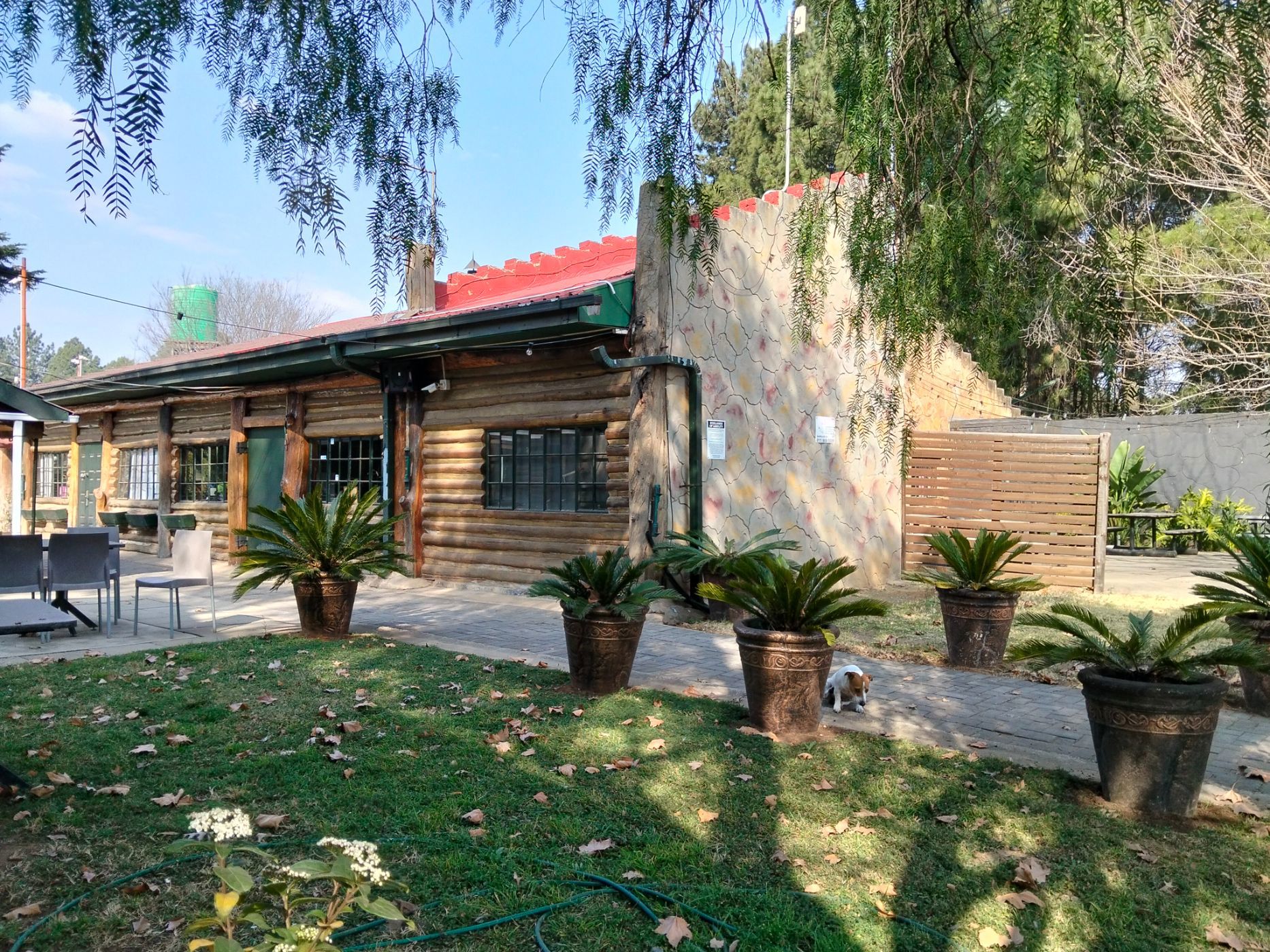 Smallholding for sale in Buyscelia - 1VT1748868