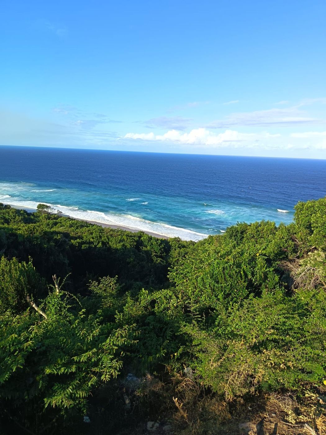 Vacant land for investment in Maputo, Mozambique - 3MQ1749013