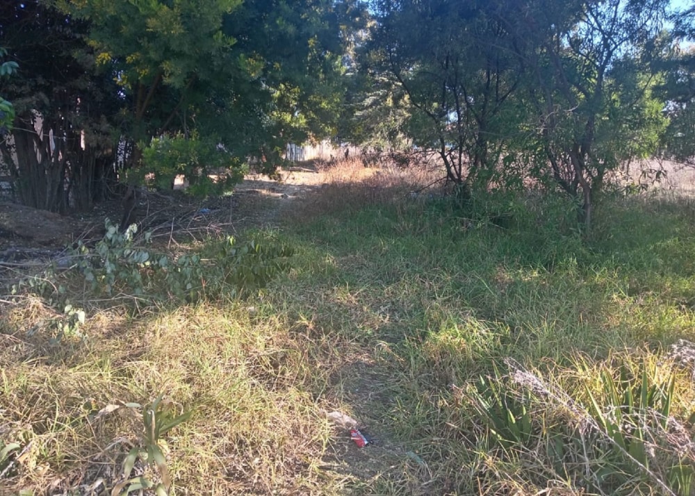 Vacant land for sale in Grootvlei, Mpumalanga - 1MD1749041 Vacant land for sale in Grootvlei, Mpumalanga - 1MD1749041