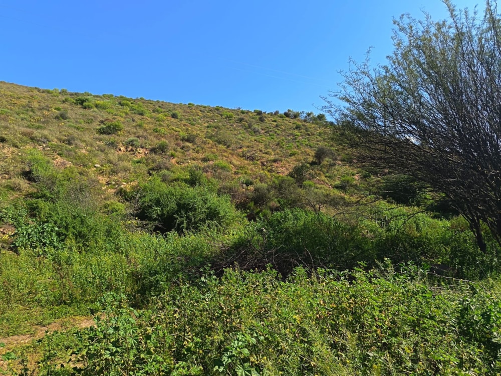 Vacant land for sale in Calitzdorp - 1OU1749485 Vacant land for sale in Calitzdorp - 1OU1749485