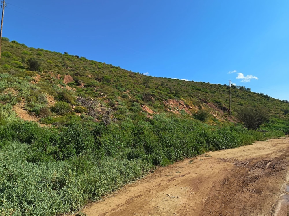 Vacant land for sale in Calitzdorp - 1OU1749485 Vacant land for sale in Calitzdorp - 1OU1749485