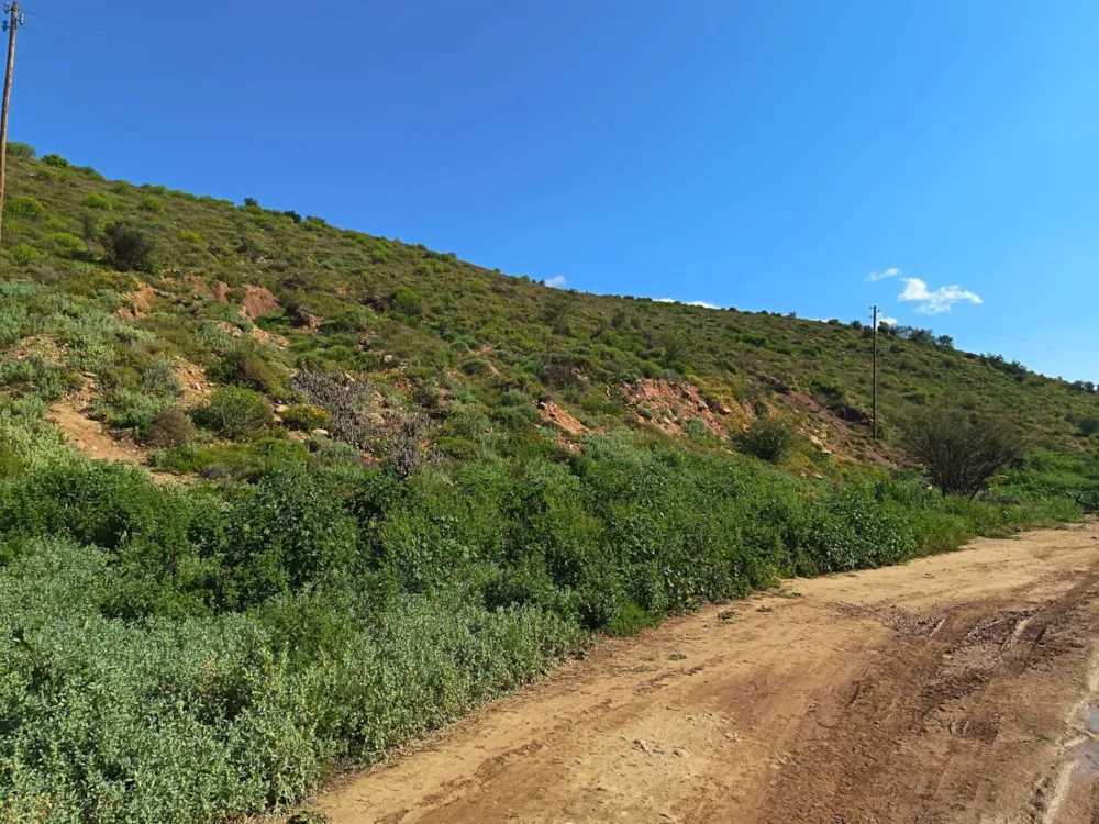 Vacant land for sale in Calitzdorp - 1OU1749485 Vacant land for sale in Calitzdorp - 1OU1749485