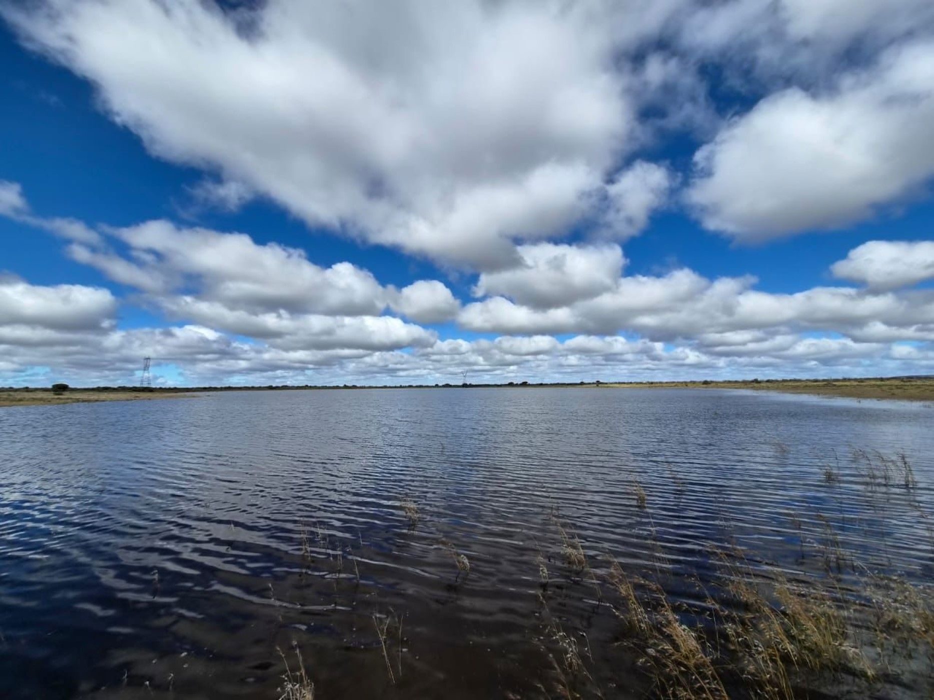 Livestock farm for sale in Douglas Rural - 1KJ1749269