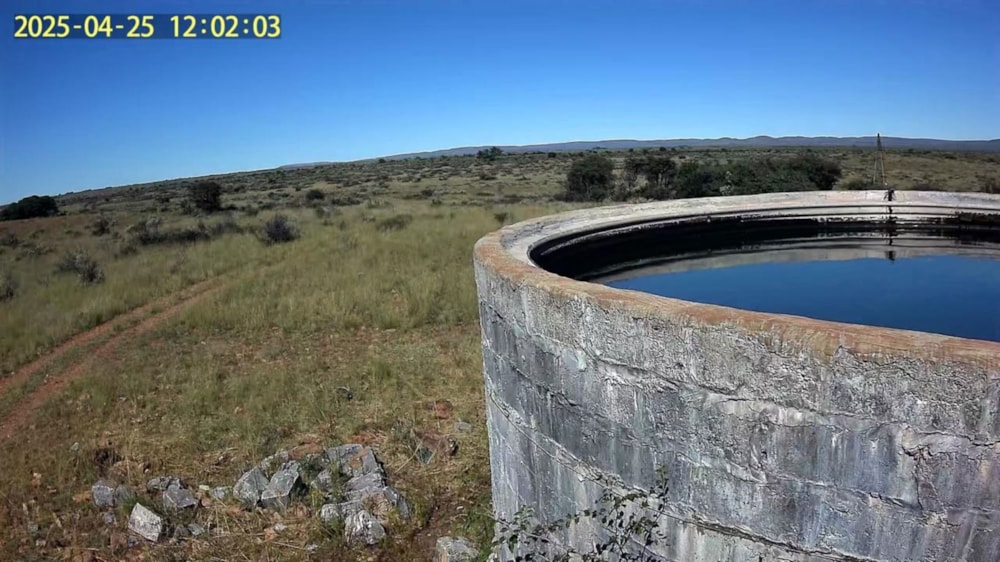Mixed use farm for sale in Kuruman Farms - 1RN1749792 Mixed use farm for sale in Kuruman Farms - 1RN1749792