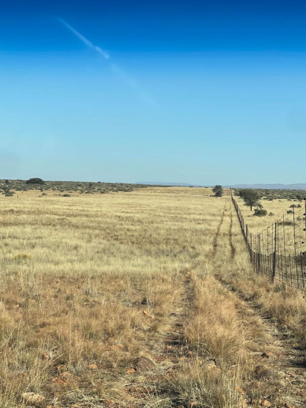 Mixed use farm for sale in Kuruman Farms - 1RN1749792 Mixed use farm for sale in Kuruman Farms - 1RN1749792