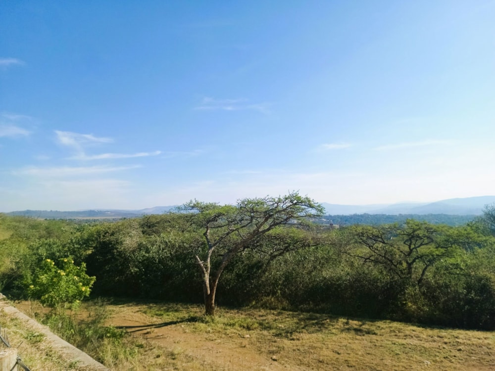 Vacant land for sale in Hayfields - 1PM1749506 Vacant land for sale in Hayfields - 1PM1749506