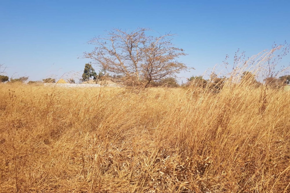 House for sale in Chisamba, Zambia - 3ZA1749513 House for sale in Chisamba, Zambia - 3ZA1749513