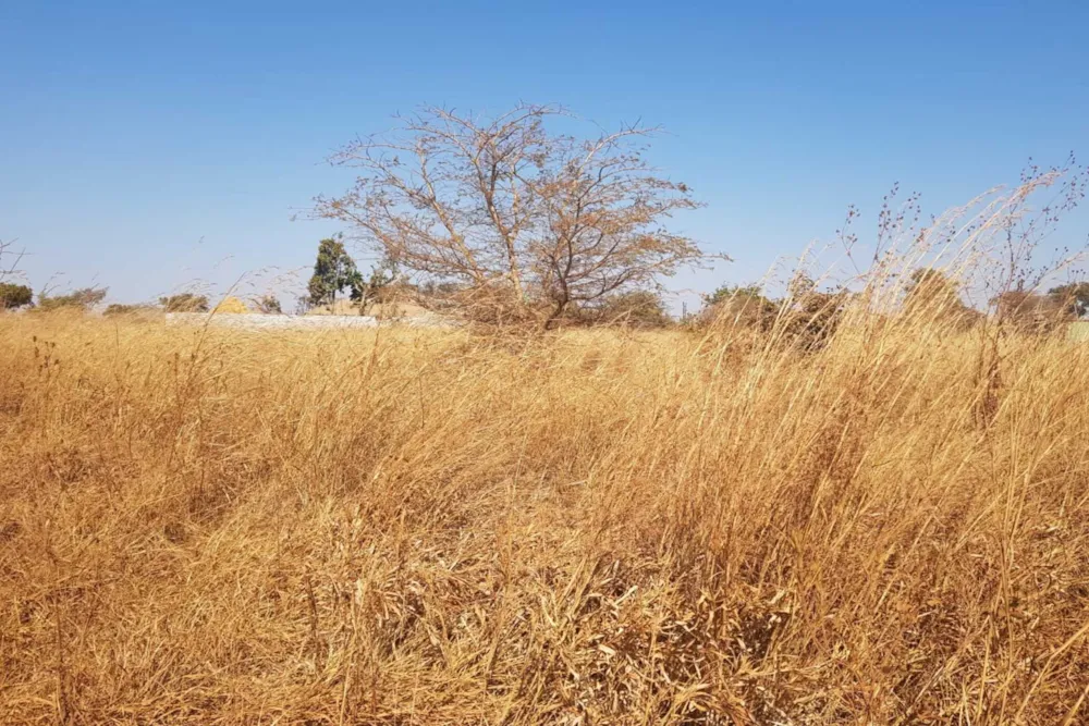 House for sale in Chisamba, Zambia - 3ZA1749513 House for sale in Chisamba, Zambia - 3ZA1749513