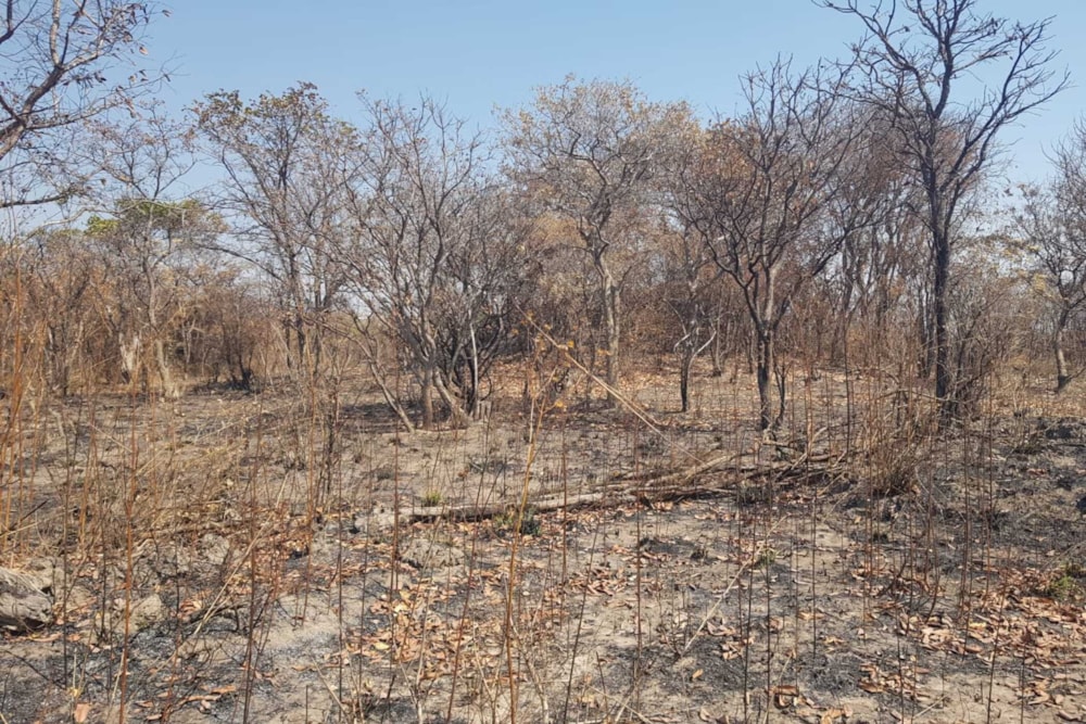 House for sale in Meanwood, Zambia - 3ZA1749542 House for sale in Meanwood, Zambia - 3ZA1749542