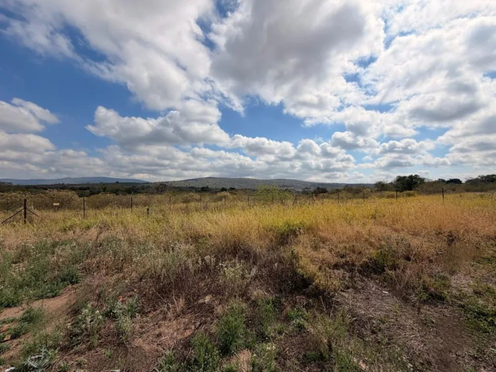 Mixed use farm for sale in Tzaneen, Limpopo Province - 1TA1749627 Mixed use farm for sale in Tzaneen, Limpopo Province - 1TA1749627